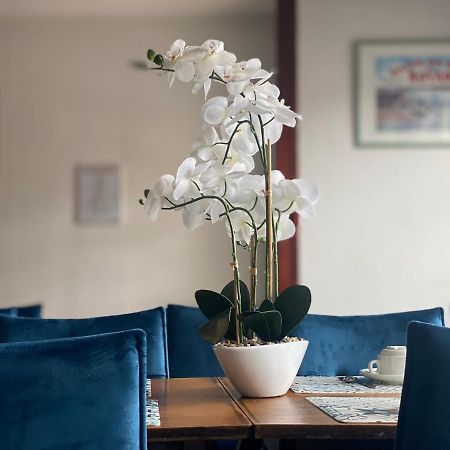 Hotel Le Pasteur Royan Eksteriør bilde
